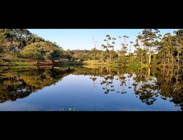 BUSINESS FOR SALE IN LEISURE BAY